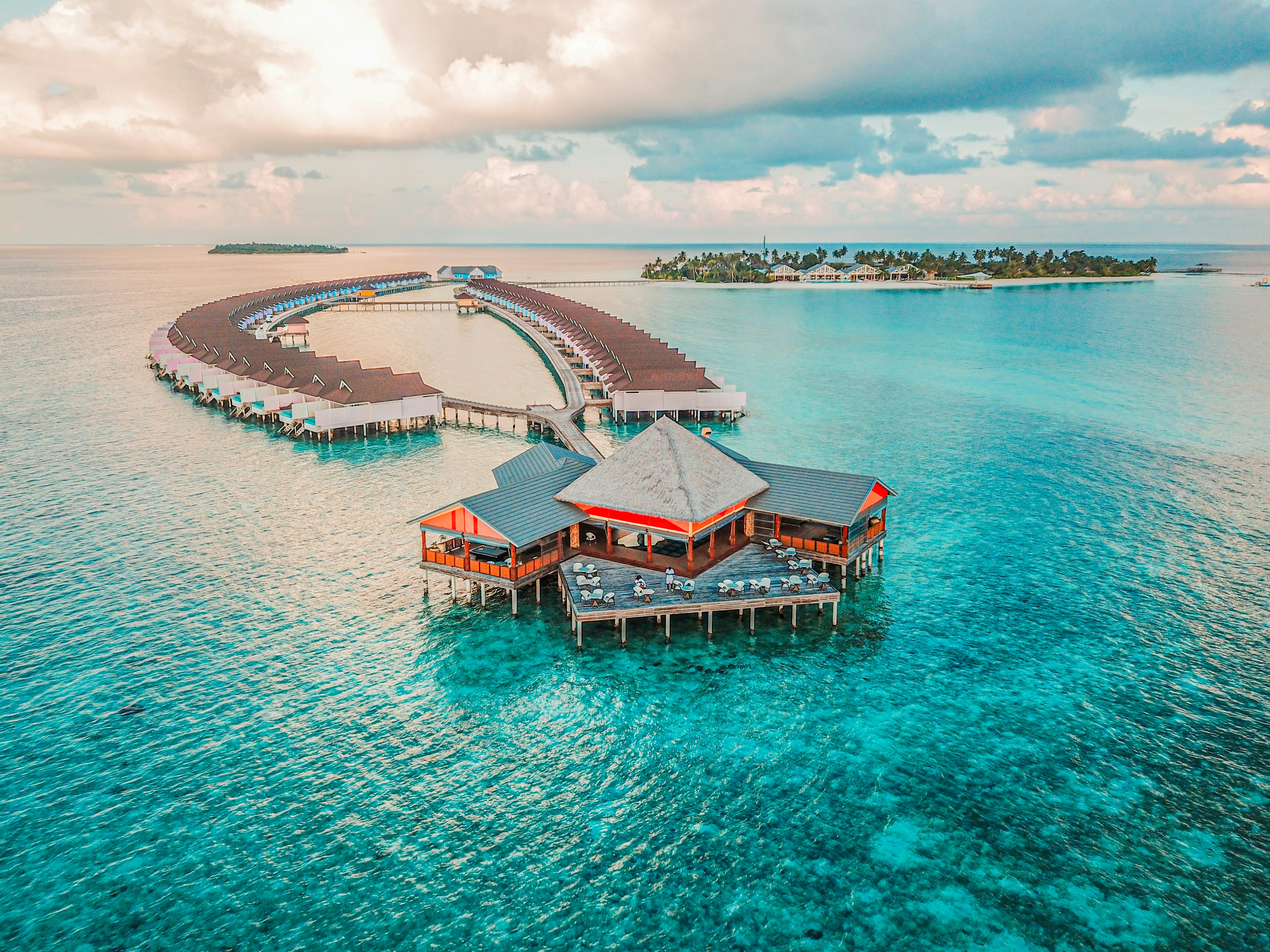 Bahía de Samaná avistamiento ballenas jorobadas